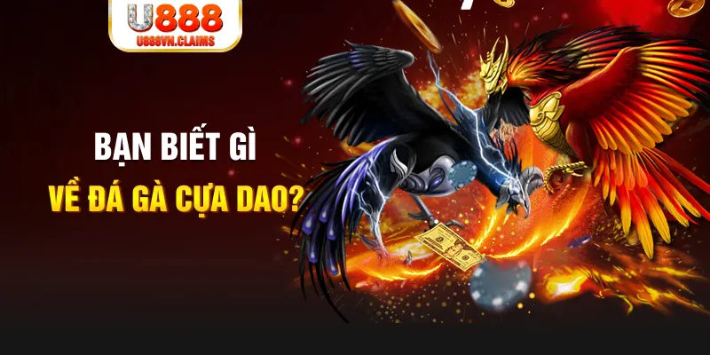 ee8801 nổ hủ la gi